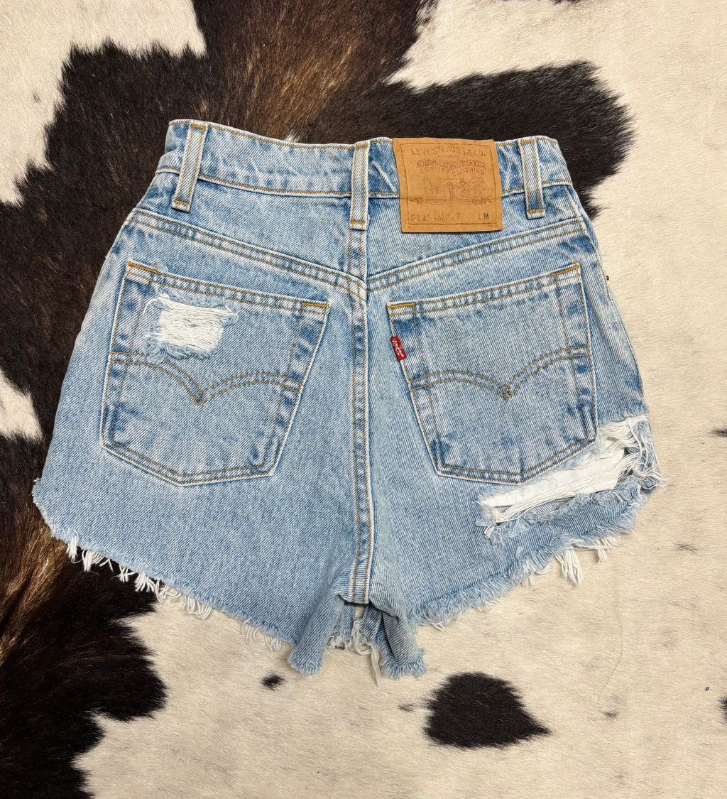 Blue Roan Rips (24”)