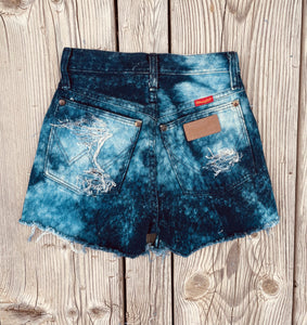 Wranglers & Waves (24”)
