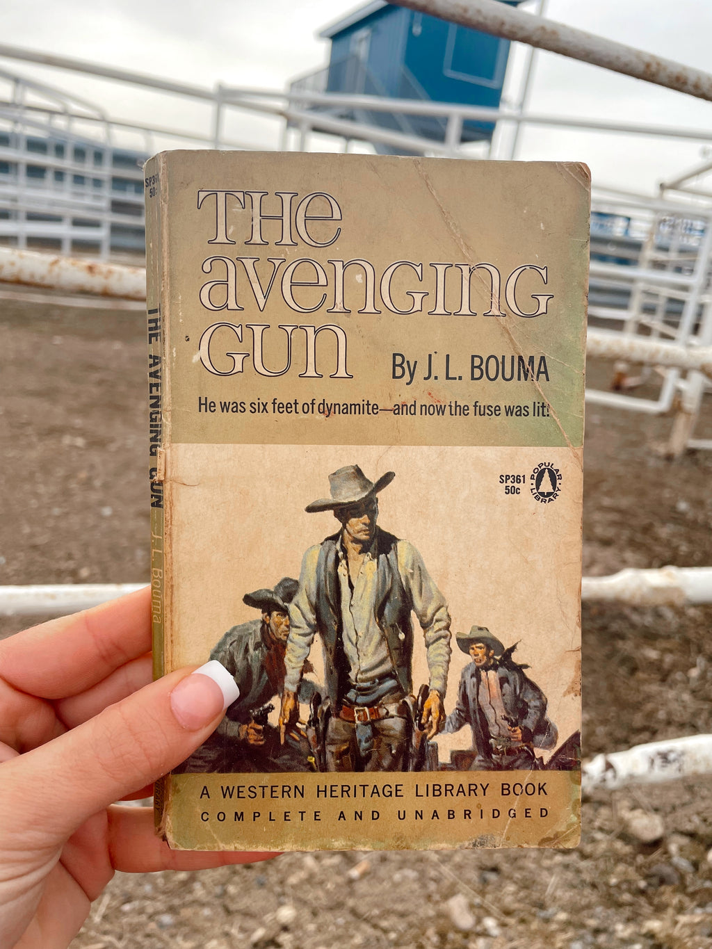 The Avenging Gun Novel