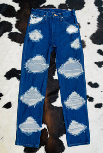 Blue Roan Rips (27x34)