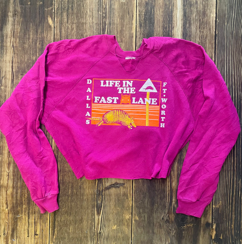 Armadillo By Morning In Magenta (M)