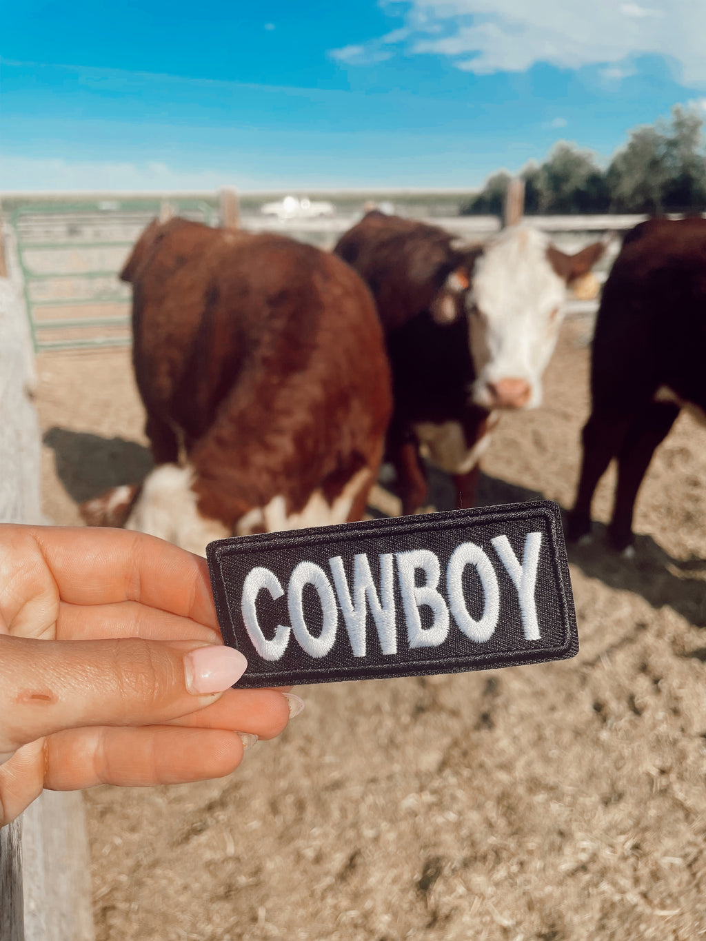 Vintage Cowboy Patch