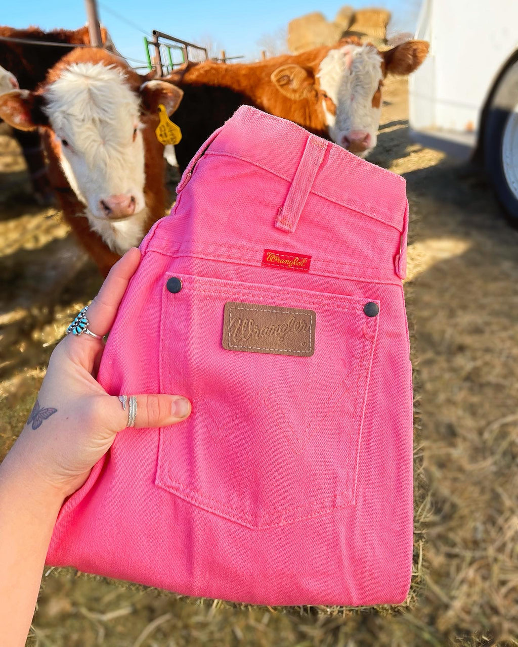 Bubble Gum Pink Wranglers (24”, 26”, 27”)
