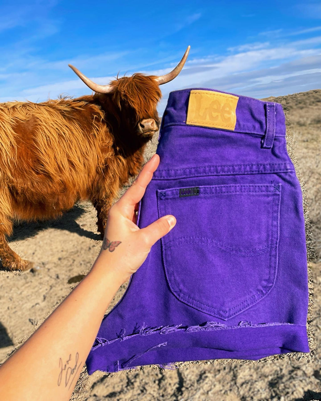 Blazing Purple Lee’s (24” & 27”)