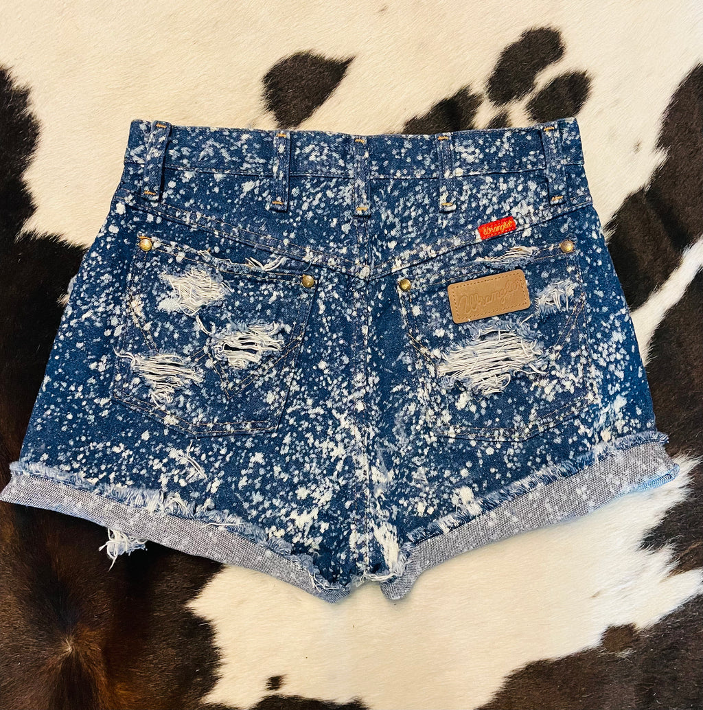 Whiskey & Wranglers (30”)