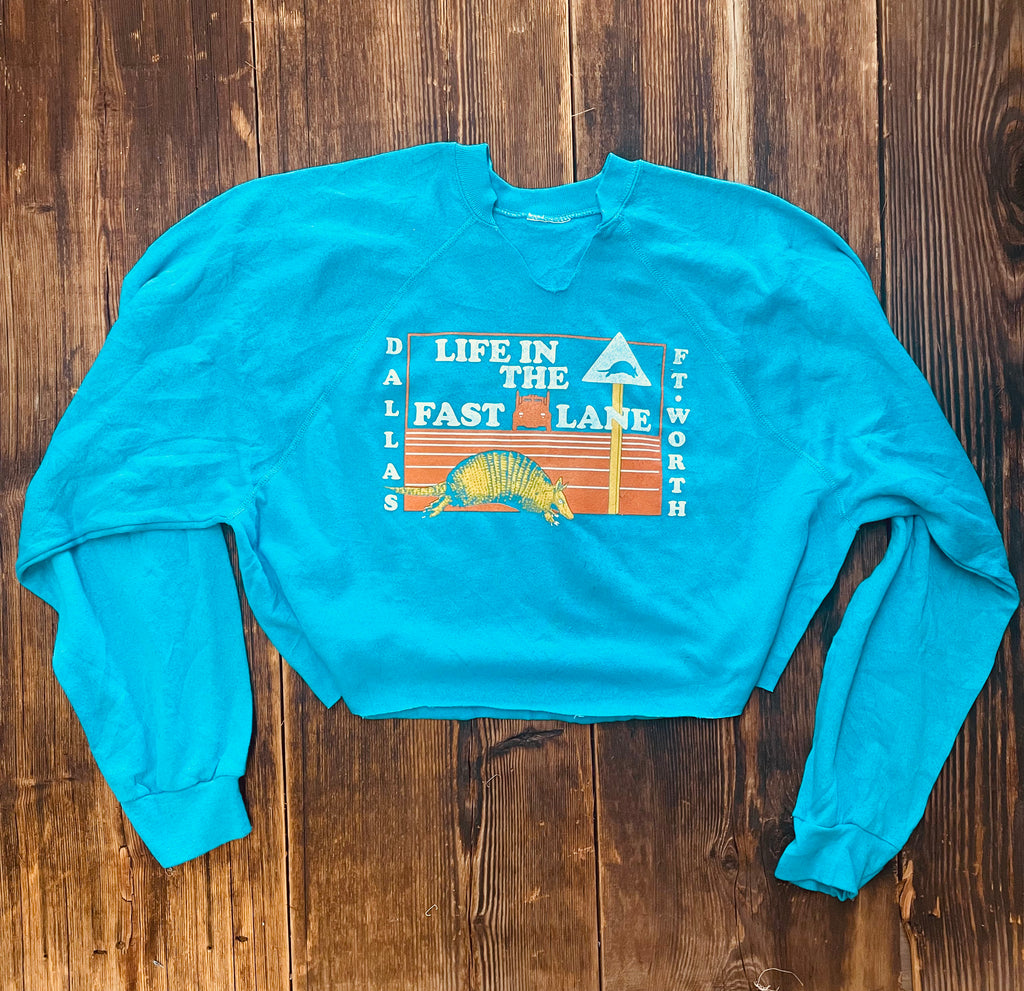 Armadillo By Morning In Turquoise (L)